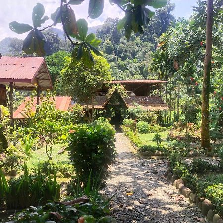 Mountain View Cottages & Villa Tangkahan Exteriör bild