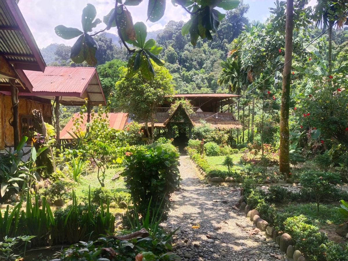 Mountain View Cottages & Villa Tangkahan Exteriör bild
