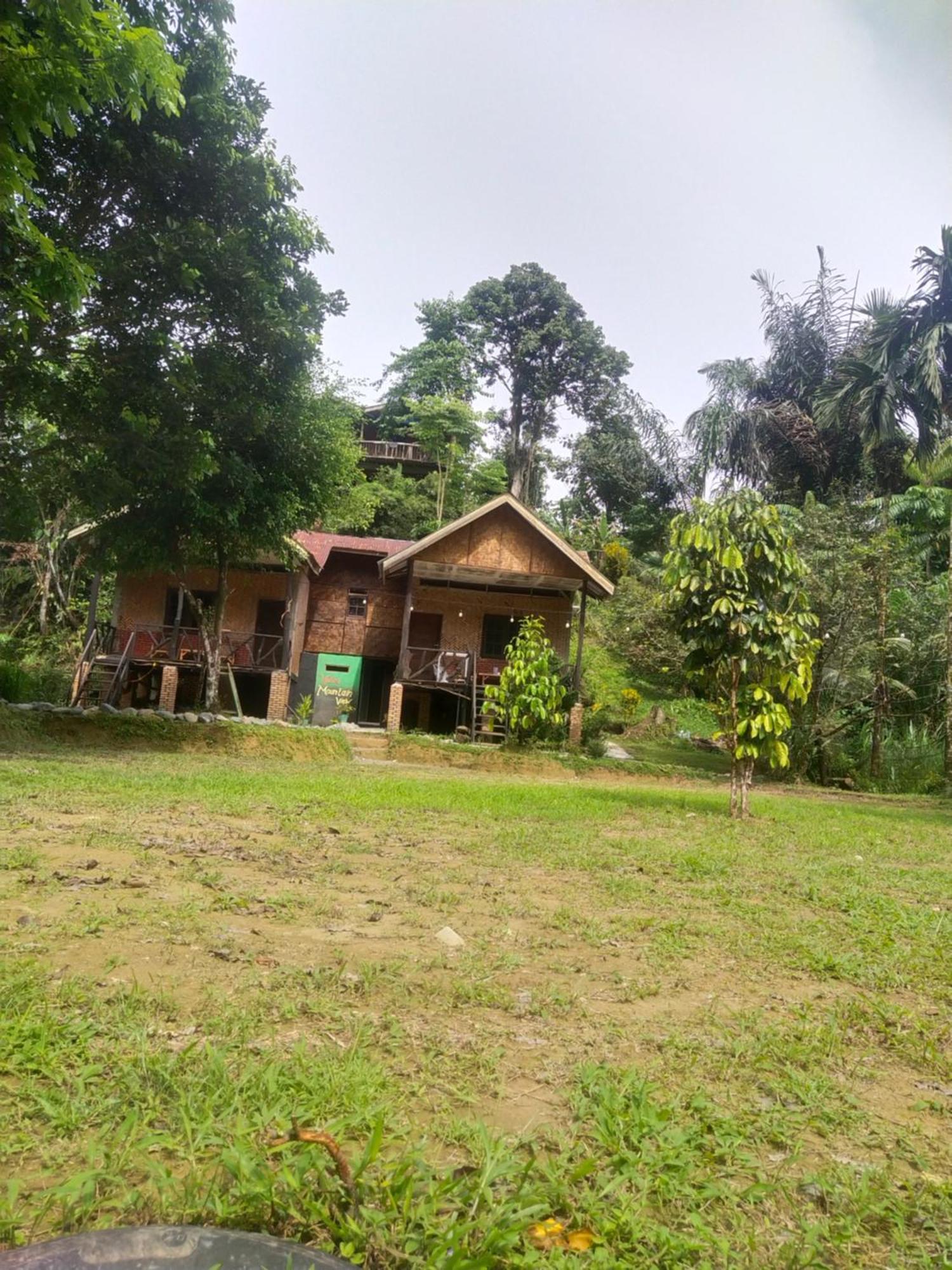 Mountain View Cottages & Villa Tangkahan Exteriör bild