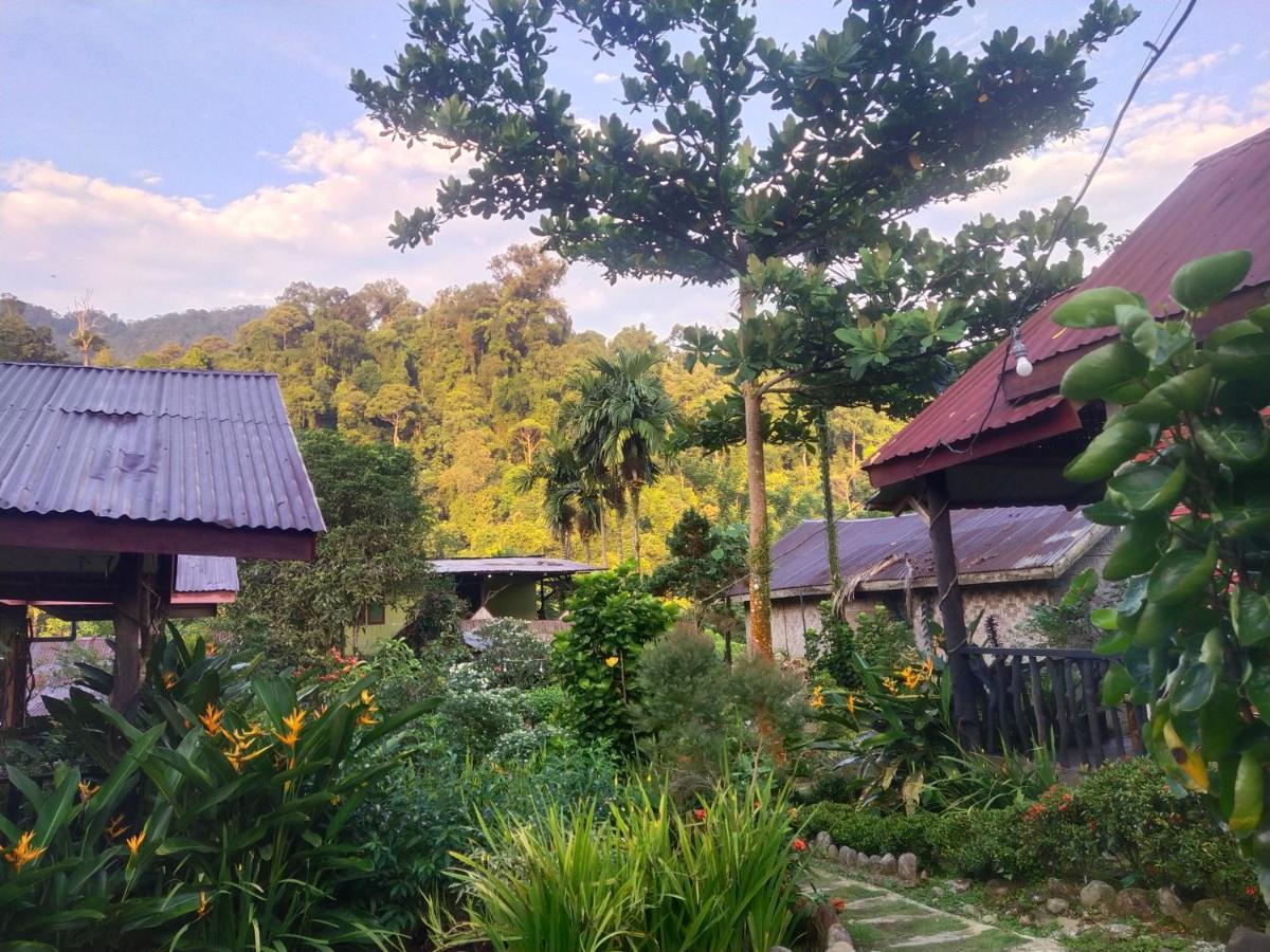 Mountain View Cottages & Villa Tangkahan Exteriör bild