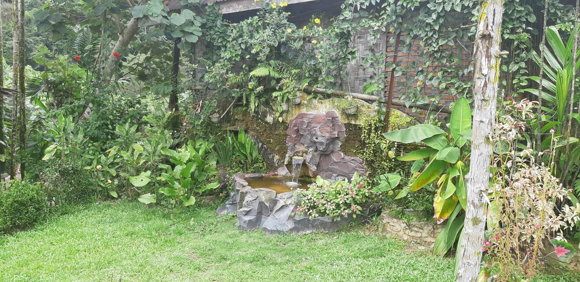 Mountain View Cottages & Villa Tangkahan Exteriör bild