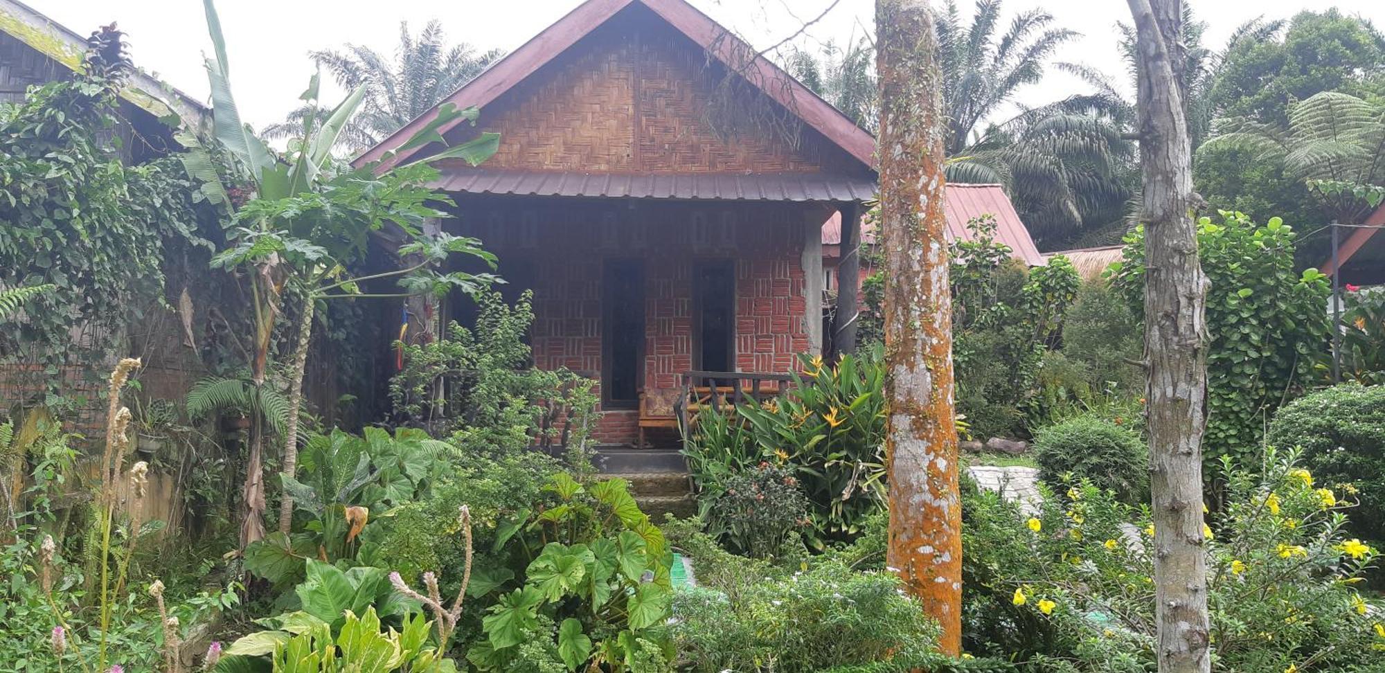 Mountain View Cottages & Villa Tangkahan Exteriör bild