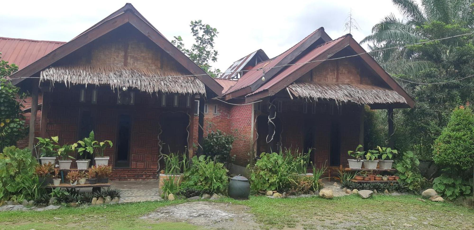 Mountain View Cottages & Villa Tangkahan Exteriör bild